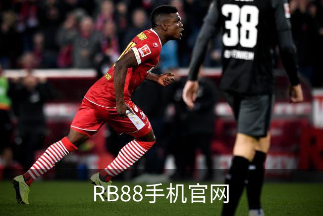 RB88手机官网公司介绍图